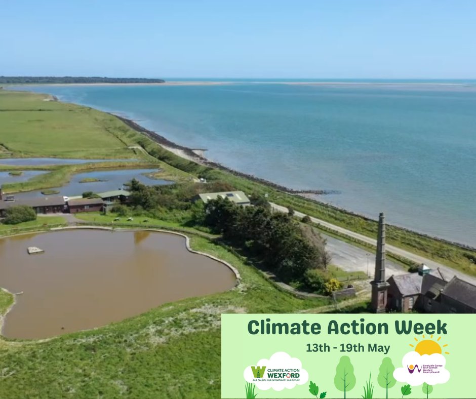 Join @WexBug on a social outing from Ferrybank to Wexford Wildfowl Reserve & back on Sunday 19 May (11am). Coffee & cake @ Wexford Quay afterwards. Book your place by emailing georginagaul@gmail.com. A roadworthy bicycle, helmet & hi-viz required.