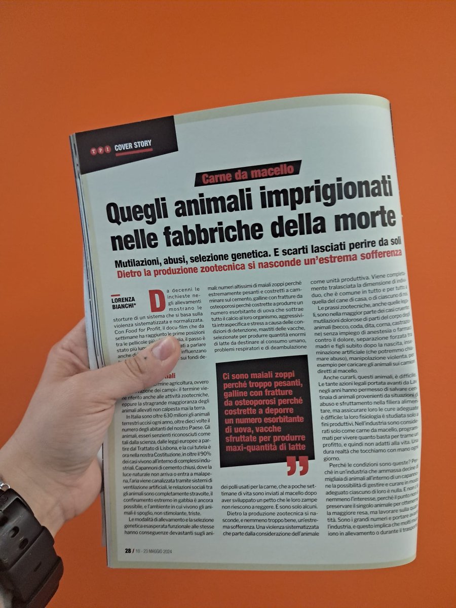 Il numero in edicola questa settimana di @tpi è dedicato 'ai lati oscuri dell'industria agro agroalimentare che Lobby e Politica vogliono nascondere'. Lorenza Bianchi, resp. area transizione alimentare di @LAVonlus ha scritto un articolo dal titolo eloquente. Buona lettura!