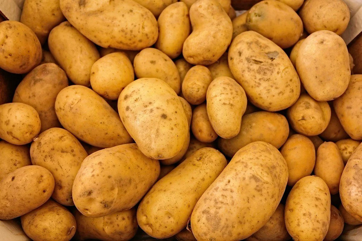 Potatoes are the most underrated food.

Incredibly mineral dense:

◦ 50 mg magnesium
◦ 900 mg potassium
◦ 0.3 mg manganese

in just ONE potato. Those numbers are hard to beat.

PLUS:

◦ B vitamins
◦ Vitamin C
◦ Lutein + zeaxanthin (antioxidants)
◦ Ketoacids (detoxifies