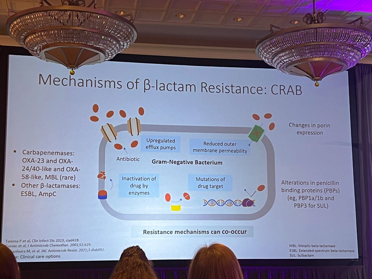 Cara Nys Slaton tweet media