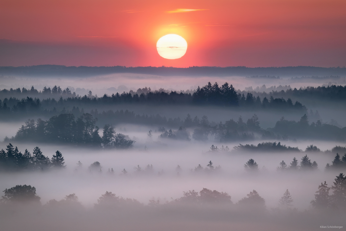 A Morning like a calm Melody
Today's mood. With sunrise the fog surface fell and revealed trees and forests. Calm but so intense.
Bavaria, Germany

#landscapephotography #sunrise #fog