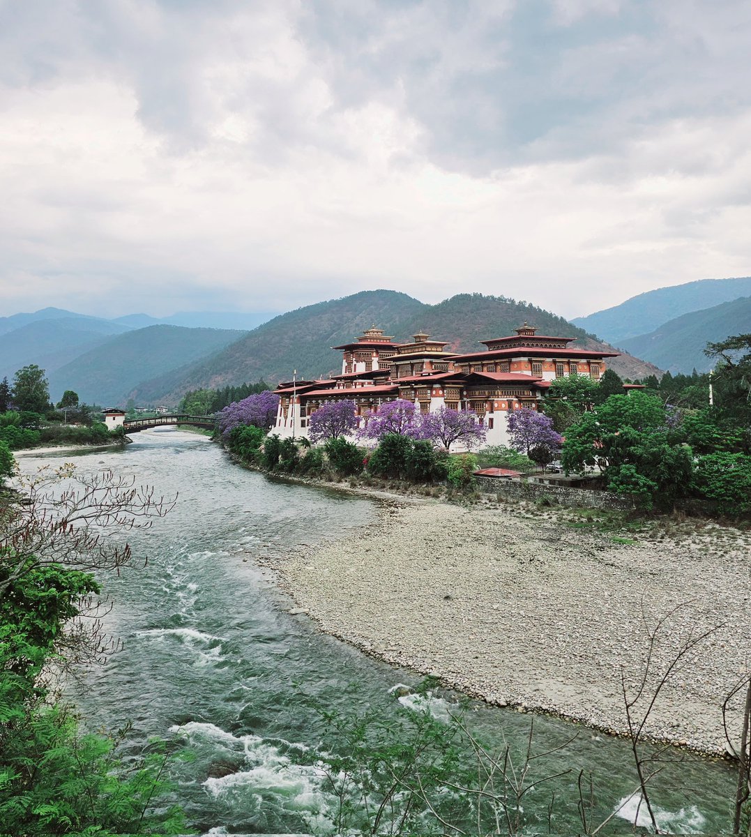 The picture perfect Punakha Dzong! #Bhutan
