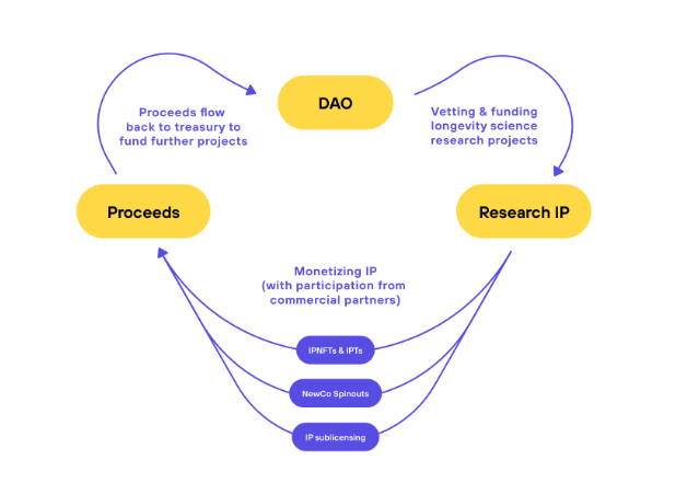 The $VITA token is a central component of the VitaDAO ecosystem. $VITA tokens enable members to: ✅ Engage in decision-making and governance of VitaDAO’s research ✅ Signal support for specific initiatives ✅ Govern its data repositories and IP Portfolio Get $VITA👇…