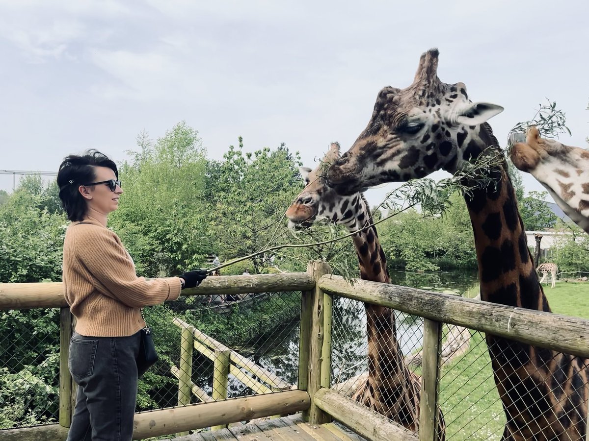 Luke Young (@8lukeyoung) on Twitter photo Thanks to <a href="/chesterzoo/">Chester Zoo</a> for a great experience. Happy 30th birthday Chlo. Have a great day, you deserve it. Thanks for all you do for me and the boys Thanks to <a href="/chesterzoo/">Chester Zoo</a> for a great experience. Happy 30th birthday Chlo. Have a great day, you deserve it. Thanks for all you do for me and the boys