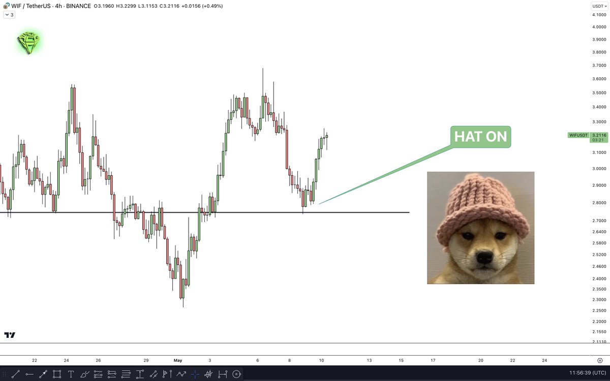 x.com/AltCryptoGems/… $WIF Team 'Hat on' winning this time too! The hat stays on. 🎩 I love the doggo 🐶, and I love it even more when it pumps! 🚀