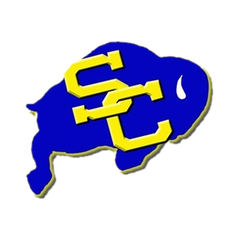 Texas Prep Softball tweet media