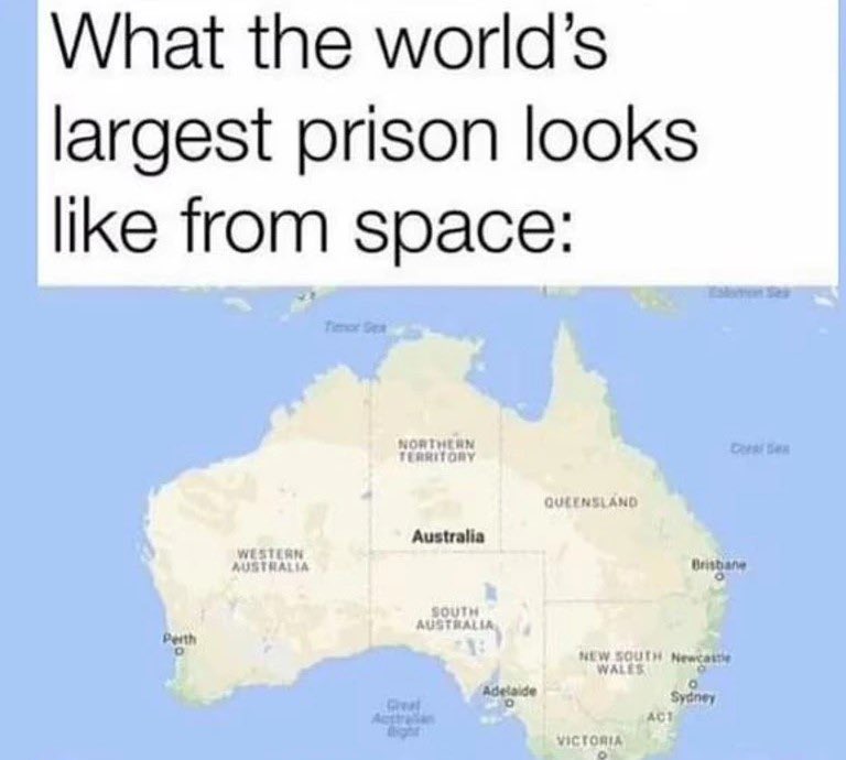 DogeDesigner tweet media