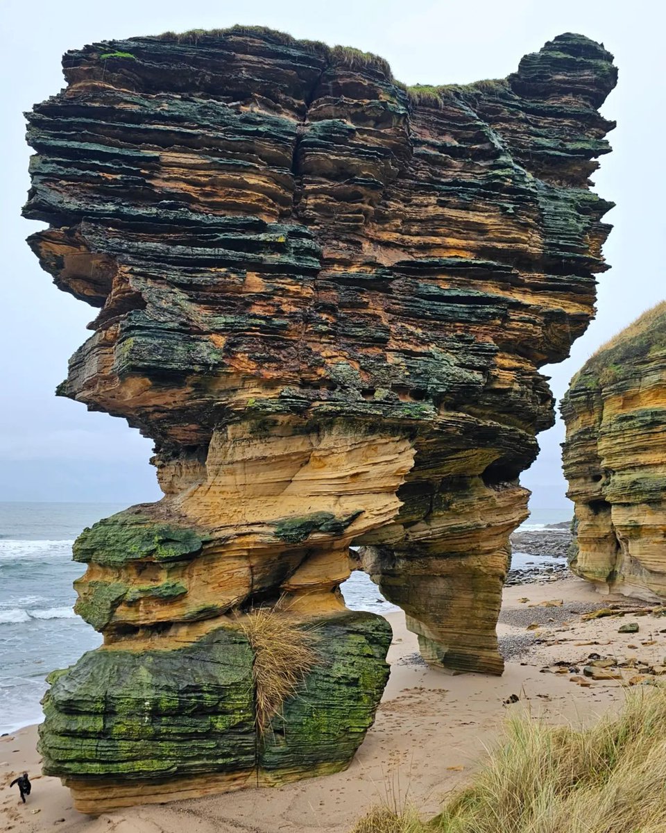 Some sights in Moray Speyside need to be seen to be believed 🤩 #EscapeYourEveryday Hands up 🙌 if you have been able to see this magnificent location up close and in person... 📌 - Moray Firth, Moray Speyside 📷 - bike_scotland (IG)