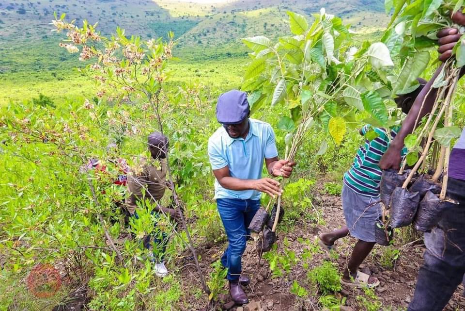 Governor Gladys Wanga, together with CS Kipchumba Murkomen, led the National Tree Growing Day, reafforestation, and environmental restoration of Gembe Hills, Suba North, Homa Bay County. The county of endless potential is determined to protect all the water catchment areas in…