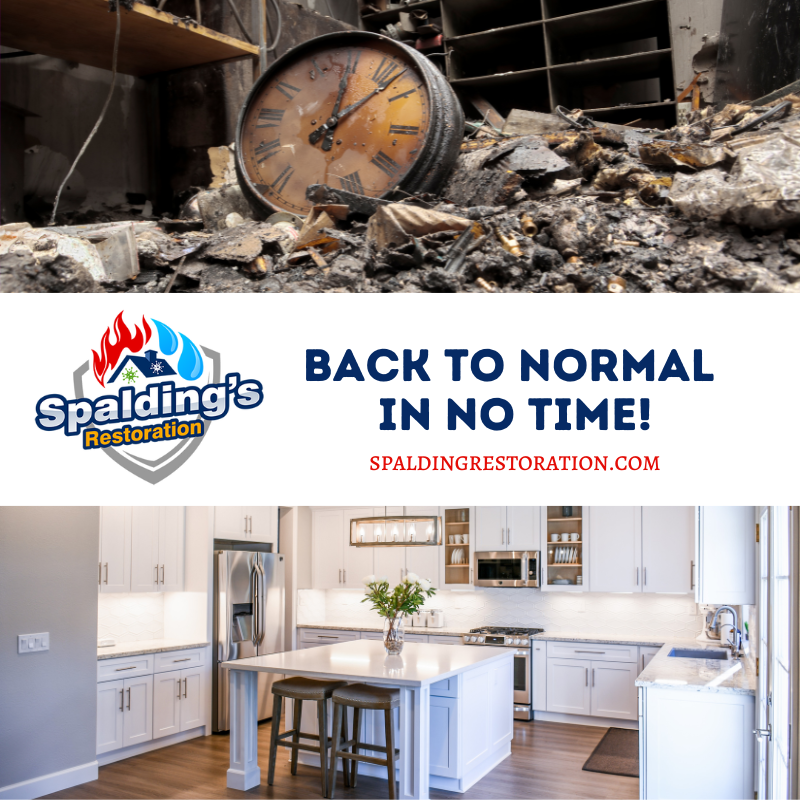 At Spalding’s Restoration, our mission is to help you get your home or business back to it's original state as safely and quickly as possible with professional restoration, remediation, and cleaning services. waterremovalfortmyers.com