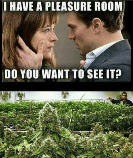 😂😂😂

ow.ly/kl3e50RBesm

#londonseedcentre #weedstagram #smokeweedeveryday #cannabiscommunity️ #weedmemes #highlife #weed #stoners