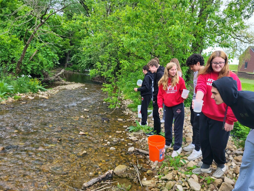Mr Coassolo's Biology II students released 136 Rainbow Trout into Willow Creek as part of the Trout in the Classroom Project sponsored by PA Trout Unlimited and PA Fish and Boat.  #FASDProud