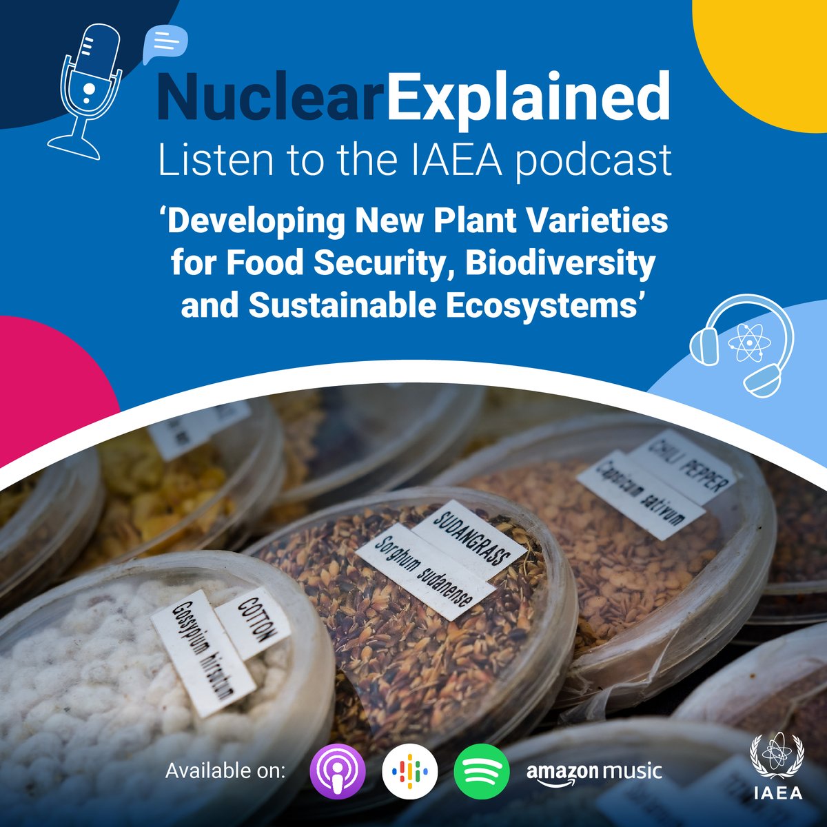 Curious to discover how irradiation helps to develop more resilient and productive crop varieties and supports the #SDG2: Zero Hunger?

🎧Listen to our #NuclearExplained podcast here:

atoms.iaea.org/4bdibKZ