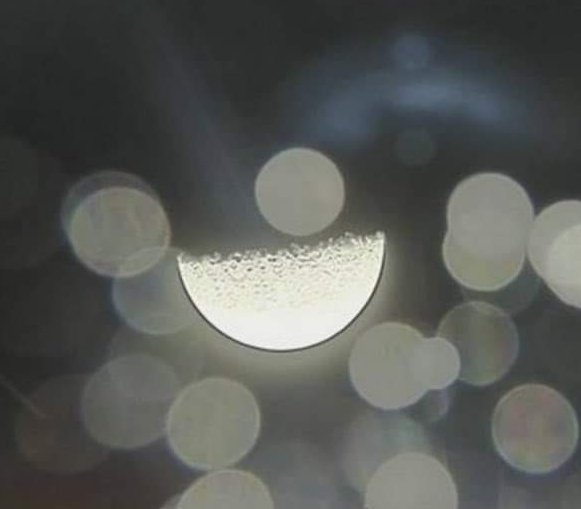 🛑 اہم ترین : پاکستان کے چاند 🛰️ سیٹلائٹ مشن ’آئی کیوب قمر‘ نے چاند 🌕 کے مدار سے پہلی صاف تصویر بھیج دی.. #iCubeQamar #SUPARCO #MoonMission #Pakistan
