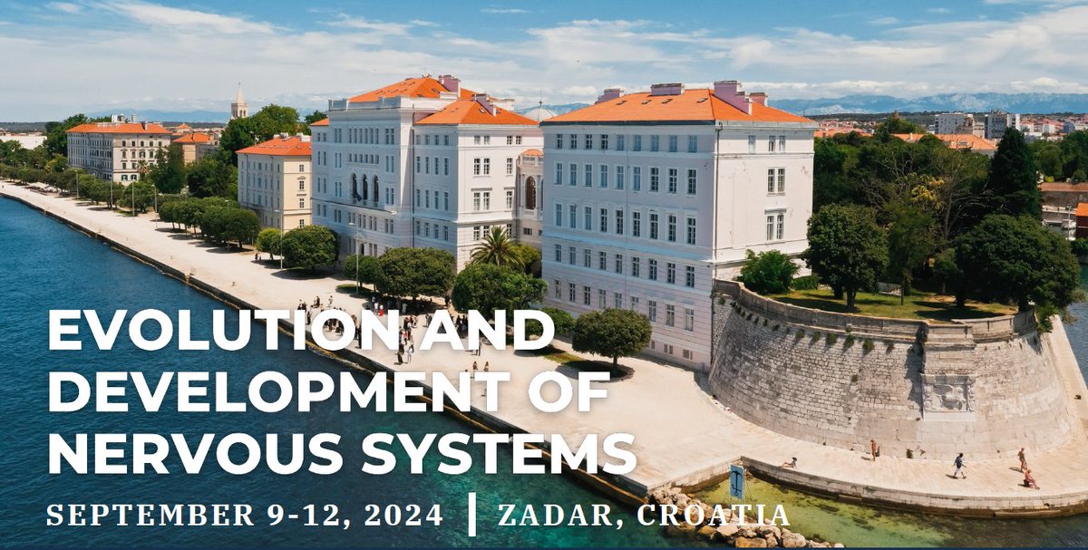 📣 Upcoming conference co-organized by #YaleNeuro's Nenad Sestan on September 9-12 in Croatia. It will bring together scientists from all over the world who work on brain development and evolution. Abstract submission closes May 15! Visit brain-evodevo.org for more info.