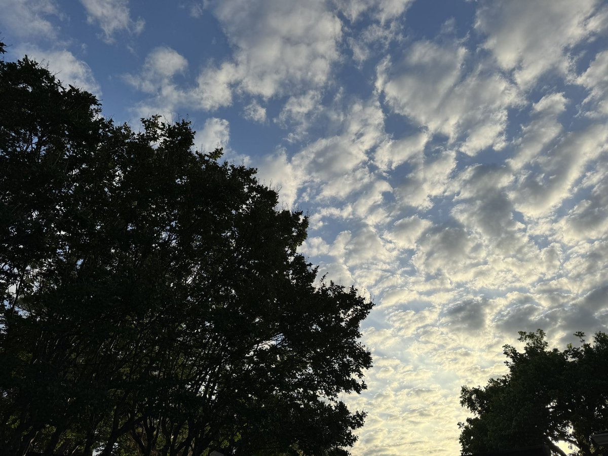 Diane Sumoski tweet media