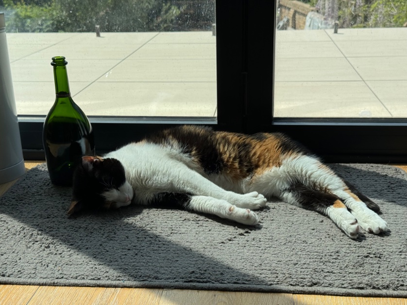 Henry Robinson tweet media