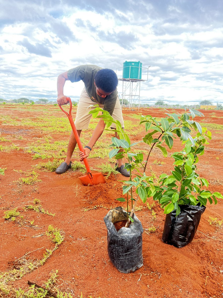 Grateful for the generous donation of nursery trees from @UNDPKenya’s @AbuMahirJ at @WajirModelFarm&ResearchCentre. Proud to contribute to the #15BillionTrees program. Let's keep up the great work for #ClimateAction on #NationalTreeGrowingDay! #JazaMiti