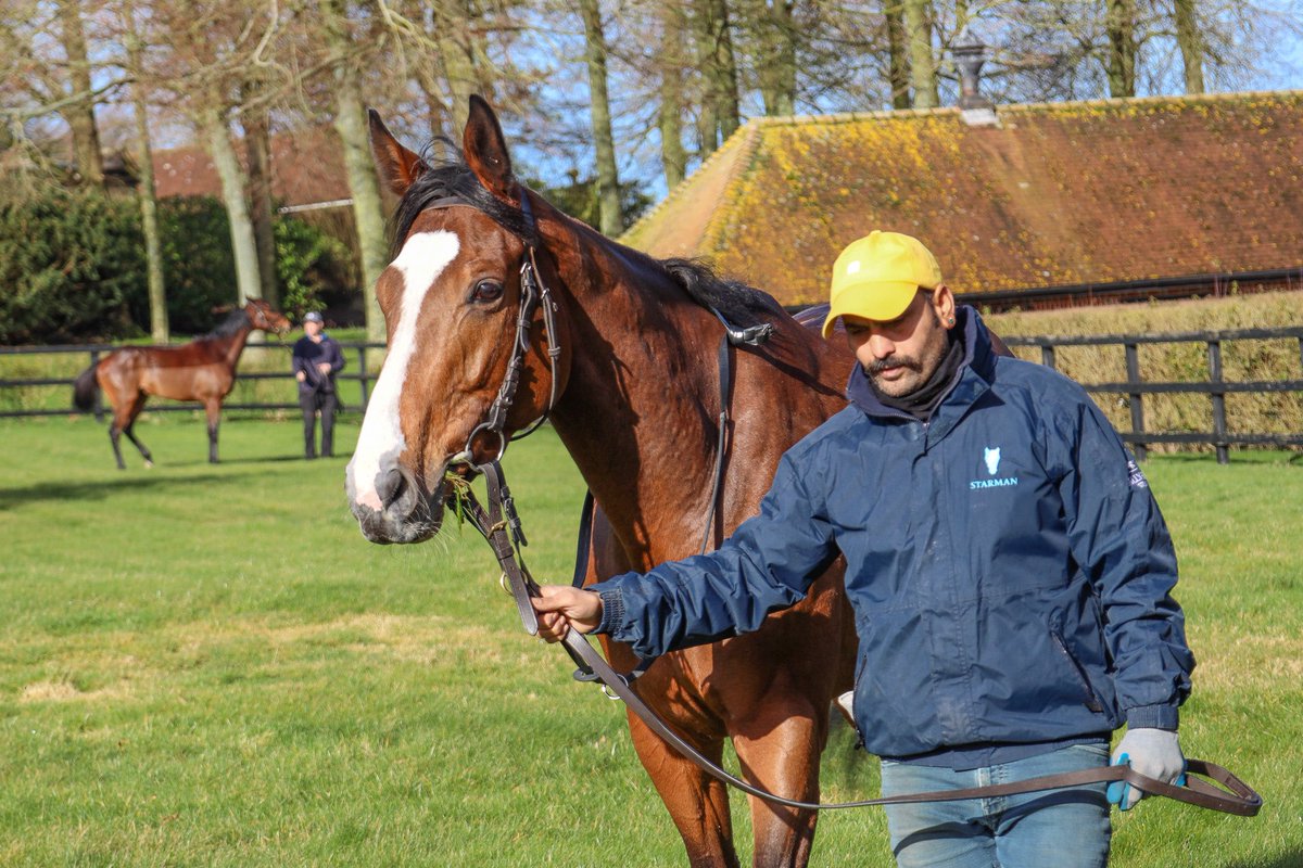 • 17:20 - Hedonista in the 2m Handicap for @edwalkerracing under @Joeleavy05. Best of luck to all of our owners! #OpulenceThoroughbreds