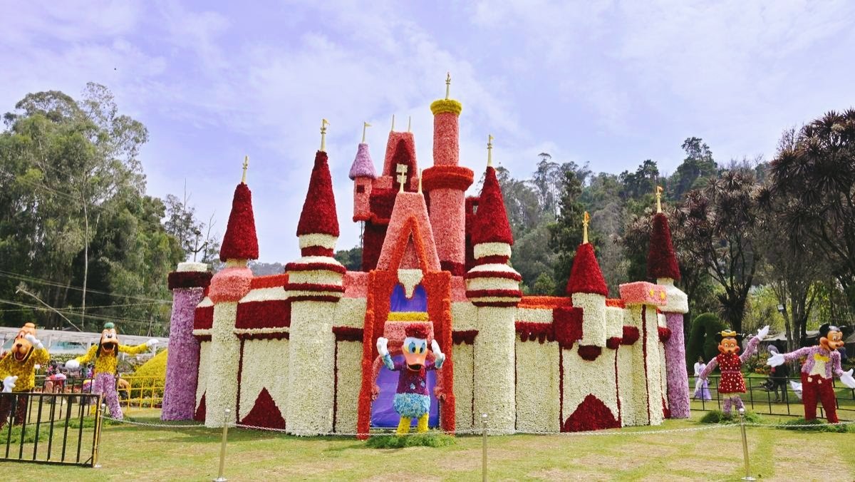 Summer Festival, Nilgiris started with a bang 126th Flower Show, Ooty, The Nilgiris begins with many star attractions made with flowers. Exhibits like Nilgiri Mountain Railway, Disney fairy castle, Mickey and Minnie Mouse, Goofy, Pluto and Donald Duck & many more.