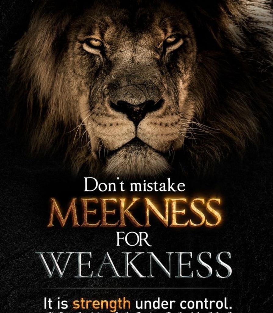 Know thy weaknesses... Because the devil sure does. Be committed & submitted to God, & Led by His Spirit.🕊 ❤🔥