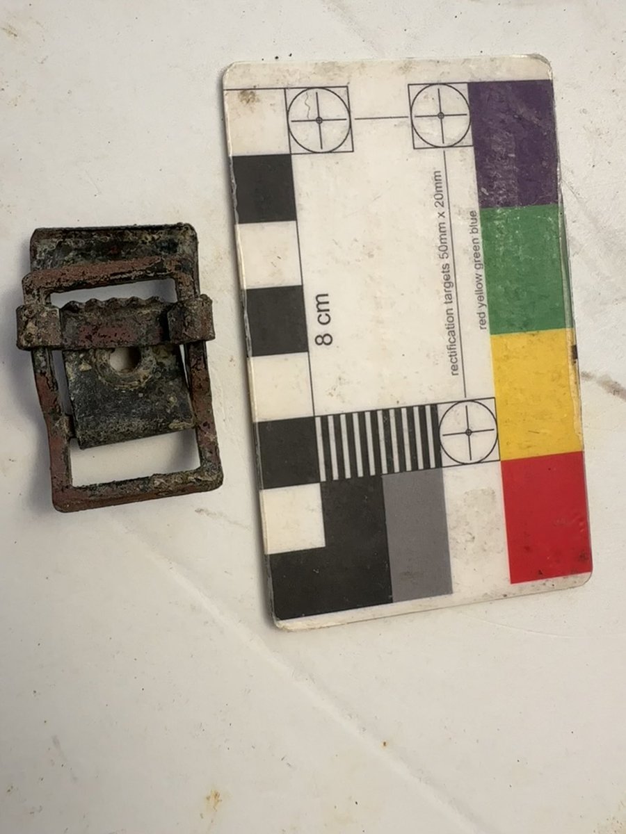 #FindsFriday - today at our #Bandofbrothers dig - a helmet buckle strap, Garand rifle clip, grenade pin ring. But what is the buckle with the scale? #archaeology #wellbeing #opnightingale #veterans #diggingbandofbrothers @mod_dio