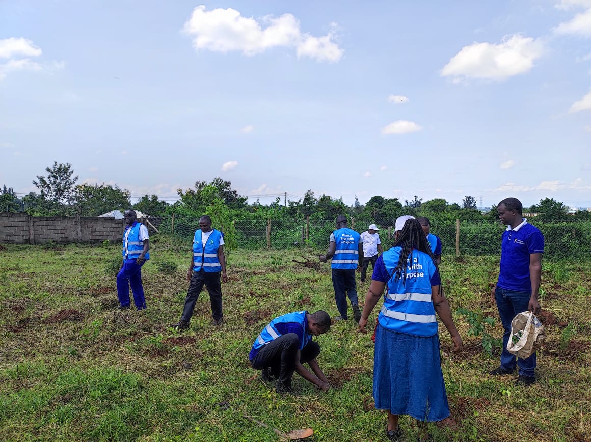 AvenueHospital's tweet photo. Our Kisumu team successfully held a tree-planting activity at Mamboleo in partnership with the county Government, Miya Ywech Association, KPLC, Lapfund, and other CBOs. This is a continuation of our #ESGProgram, &amp; we have taken action to create a greener future!  

#TreePlanting https://t.co/3rgF1Cqfdl