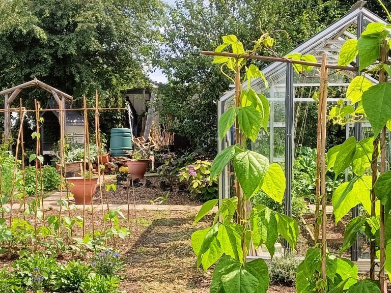 Exciting opportunity! Would you like to volunteer at our allotment to help with maintenance? We're looking for a long-term commitment from someone who is able to oversee the fixing/maintaining of our plot & help us to create an annual maintenance plan>> buff.ly/3USRYLV
