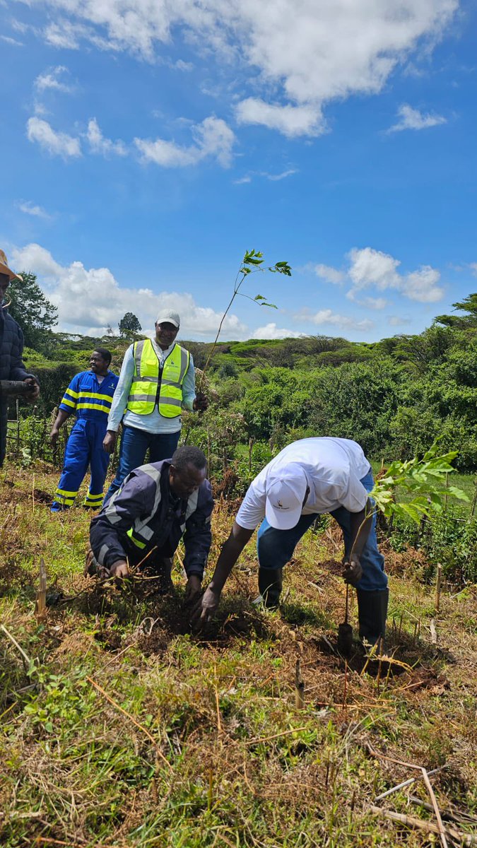 Kenya Power staff from Baringo (left to right) Edwin, Stanley, Kevin, Faith, Gerald, and Cornelius take part in the Company’s #TreePlanting exercise at Narasha Forest, Baringo. The Company planted 10,000 seedlings in the forest to mark the National #TreePlantingDay. #JazaMiti…