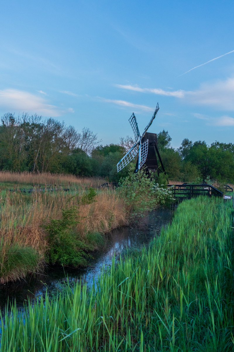 Lovely weather today on the Cambridgeshire Fens, sunny blue skies, lush reeds are rapidly growing on Sedge Fen @WickenFenNT @ElyPhotographic @StormHour @WeatherAisling @ChrisPage90 @Fen_SCENE @FascinatingFens @SpottedInEly #loveukweather @metoffice   @ThePhotoHour