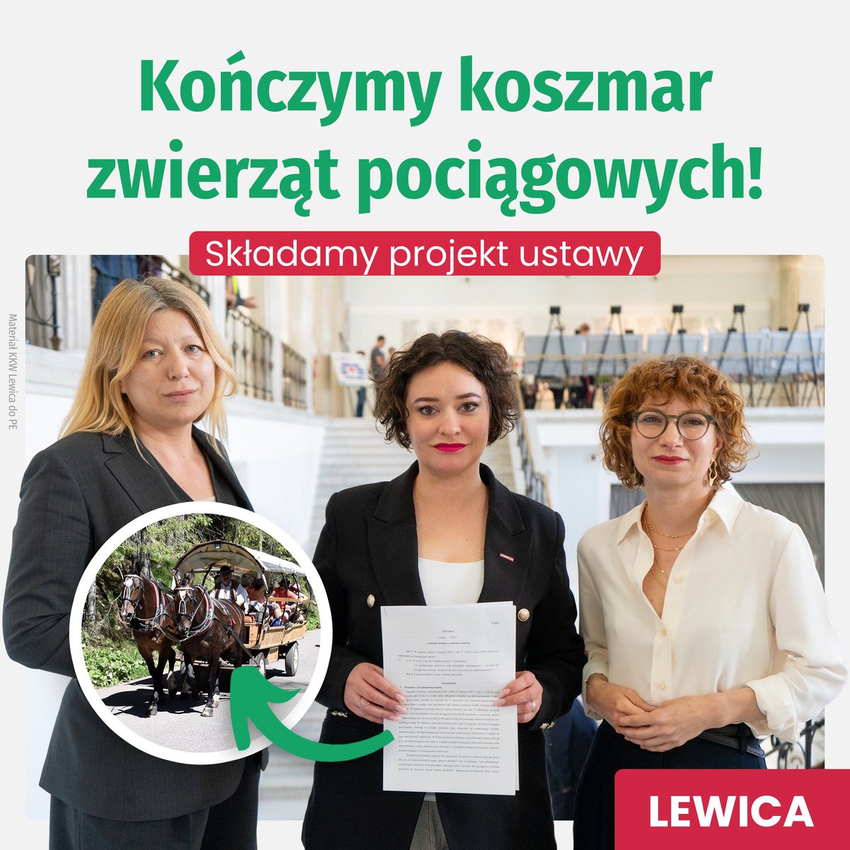 📣 Reagujemy na sytuację dot. Morskiego Oka. Lewica składa projekt ustawy, który nareszcie skończy koszmar zwierząt pociągowych w Polsce.