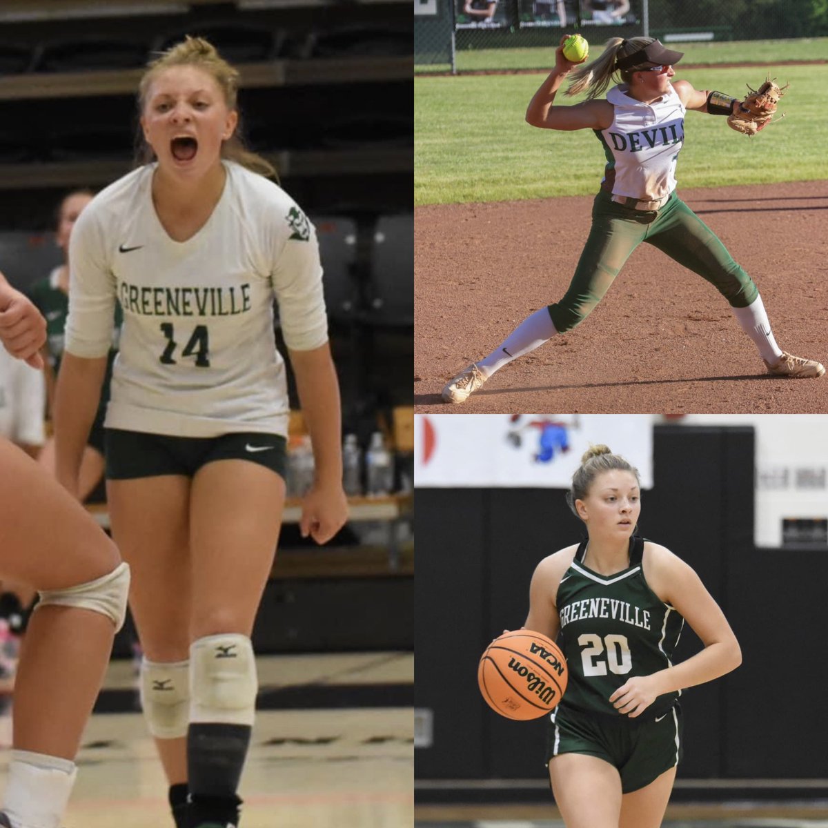 David Painter tweet media