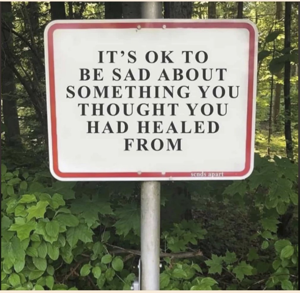 RespectfulMemes's tweet photo. https://t.co/Ze5M1USSJR