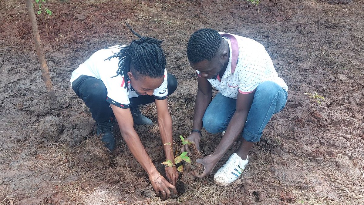 jamrick_'s tweet image. Mmepanda miti kweli ? #TreePlantingDay