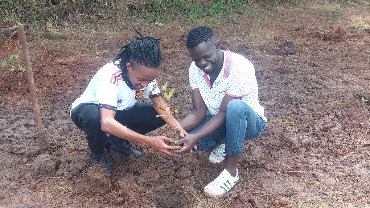 jamrick_'s tweet image. Mmepanda miti kweli ? #TreePlantingDay
