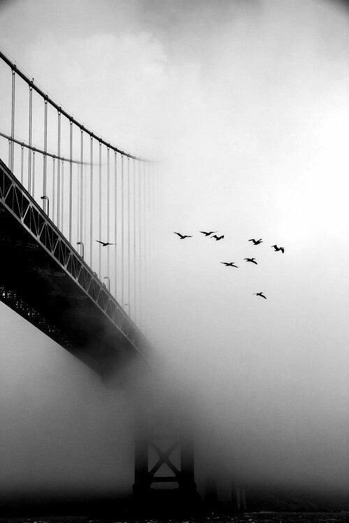 I drive across bridges spanning two separate rivers on my way to work every morning. This morning, the rivers were covered in fog and the end of the bridge disappeared into the mist.