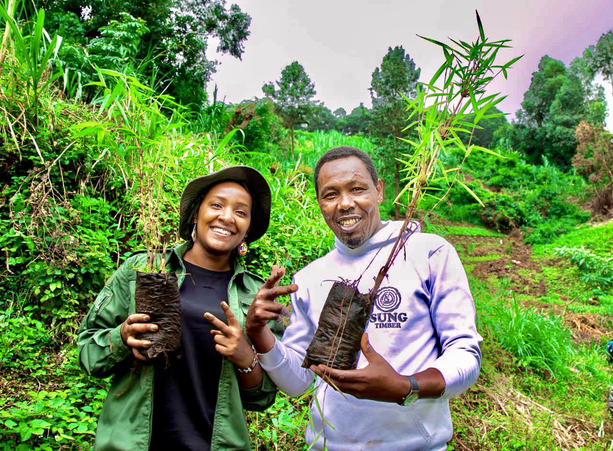 With Omosh Kizangila Mwenyewe! Great seeing you today @OKizangila growing trees on the ground in Thogoto. We are holding Bamboo seedlings which we planted along Nyongara river next to Kanyiriri springs. #JazaMiti 🇰🇪🌳🌳 #NationalTreeGrowingDay #ClimateActionNow #ClimateAction