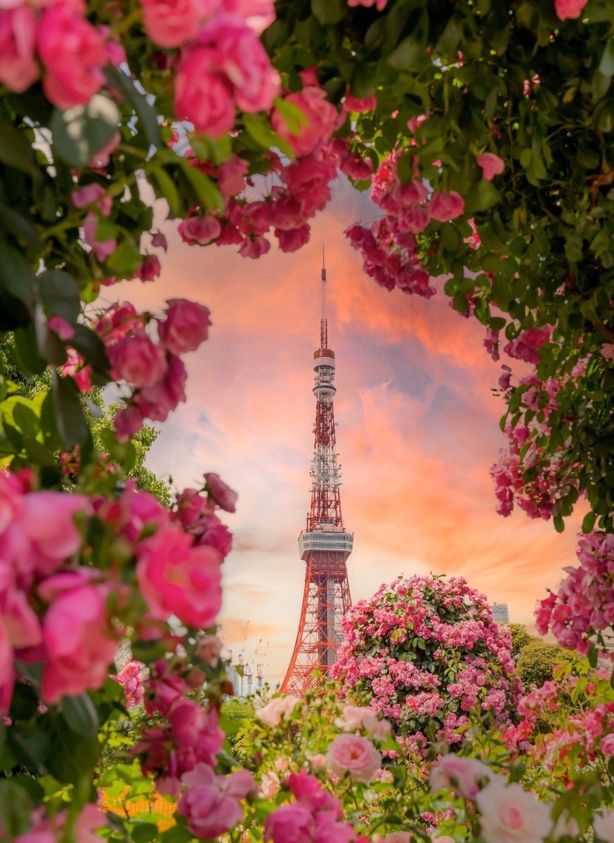 薔薇に包まれたメルヘンチックな東京タワー