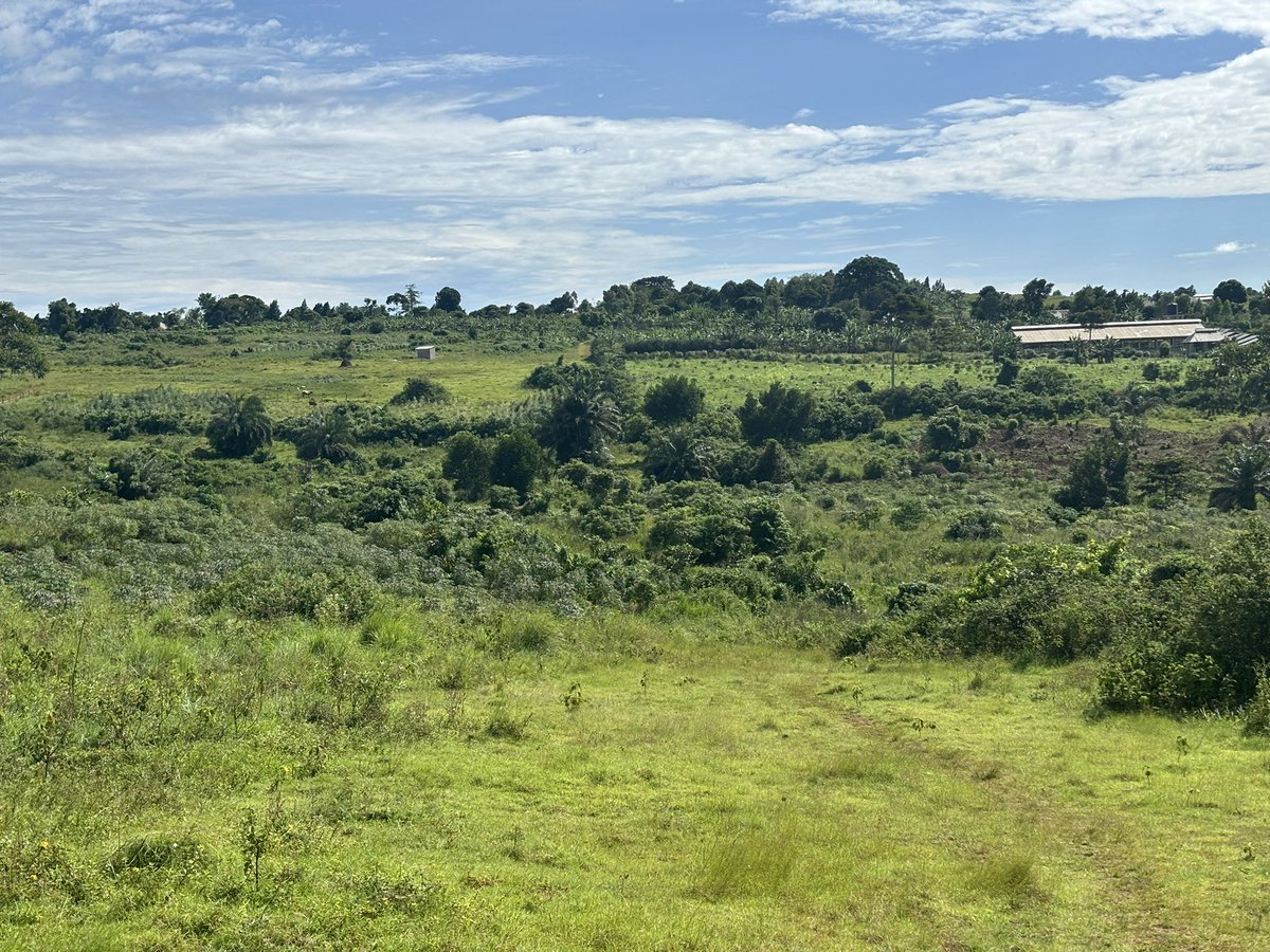 Land for sale:

Kasanje - Buyege

Near proposed UN airstrip

Just 200 meters off the Nakawuka - Kasanje- Mpigi tarmac highway under construction.

Plot size: 13.5 acres

Price: 80m ugx per acre

Ready private mailo title

Can be Accessed via Kitende, Nateete, Kisubi or Mpiigi