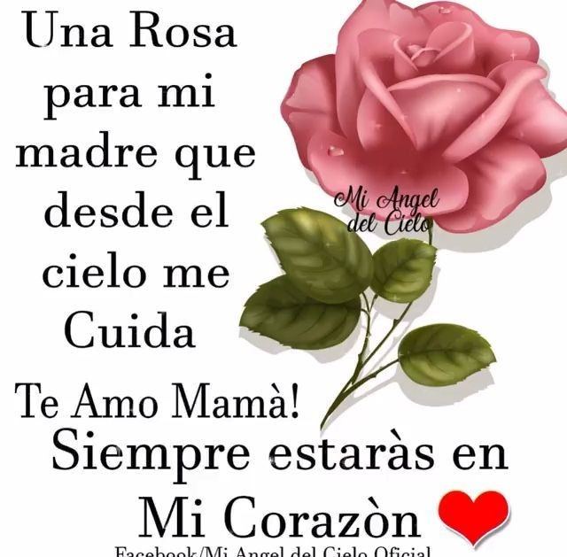 Margarita Luis (@magoluis9) on Twitter photo 