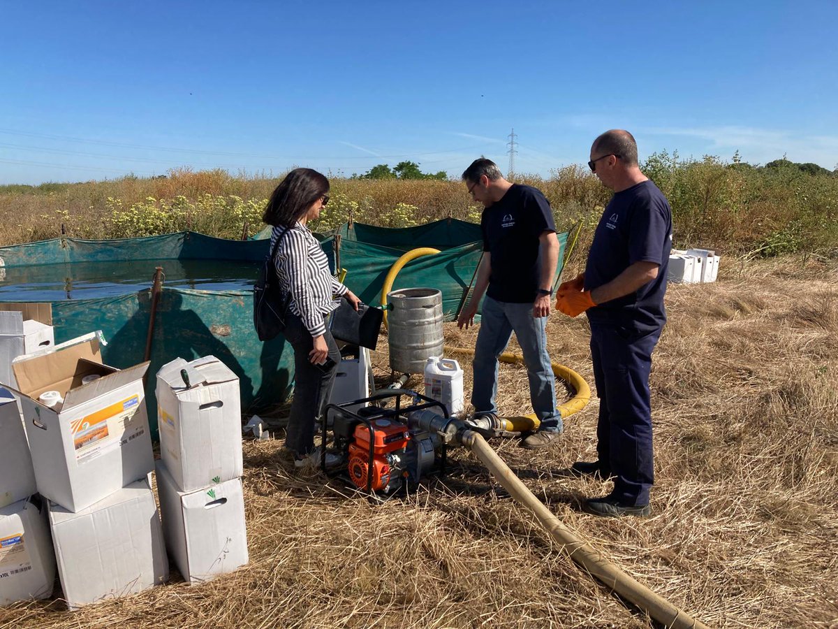 🛩️ El Servicio de ##ControldPlagas de @DipuHU inicia la primera fase de tratamientos aéreos en las #Marismas del Tinto, sobre 400 hectáreas con #larvicidabiológico específico para el control de #mosquitos