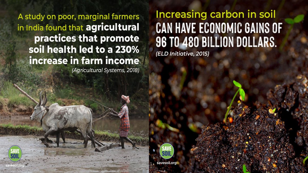 Land management can also be leveraged as a climate change mitigation and adaptation strategy, both to preserve microbial communities and sequester carbefforts can strongly contribute to supporting soil ecosystem- Nature.com
#SaveSoil