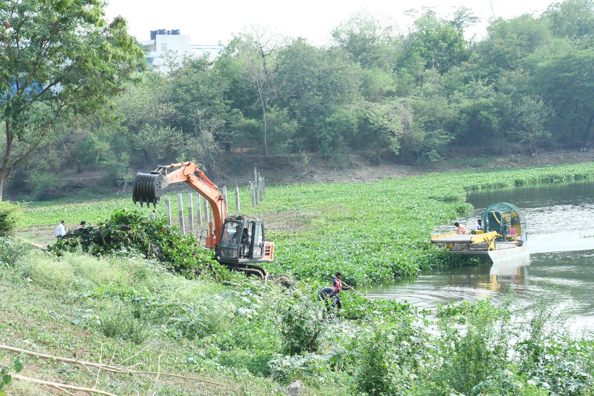 नागपूर महानगरपालिकेच्या चमूद्वारे शहरातील प्रसिद्ध अंबाझरी तलावात असणाऱ्या 'जलपर्णी' ला तलावाबाहेर काढण्याचे कार्य केल्या जात आहे. अंबाझरी तलावातील जलपर्णी समूळ नष्ट करण्याची कार्यवाही प्रगतीपथावर आहे... #nagpur #nmc #SwachhSurvekshan2024 #माझीवसुंधरा #Eichhornia #ambazarilake