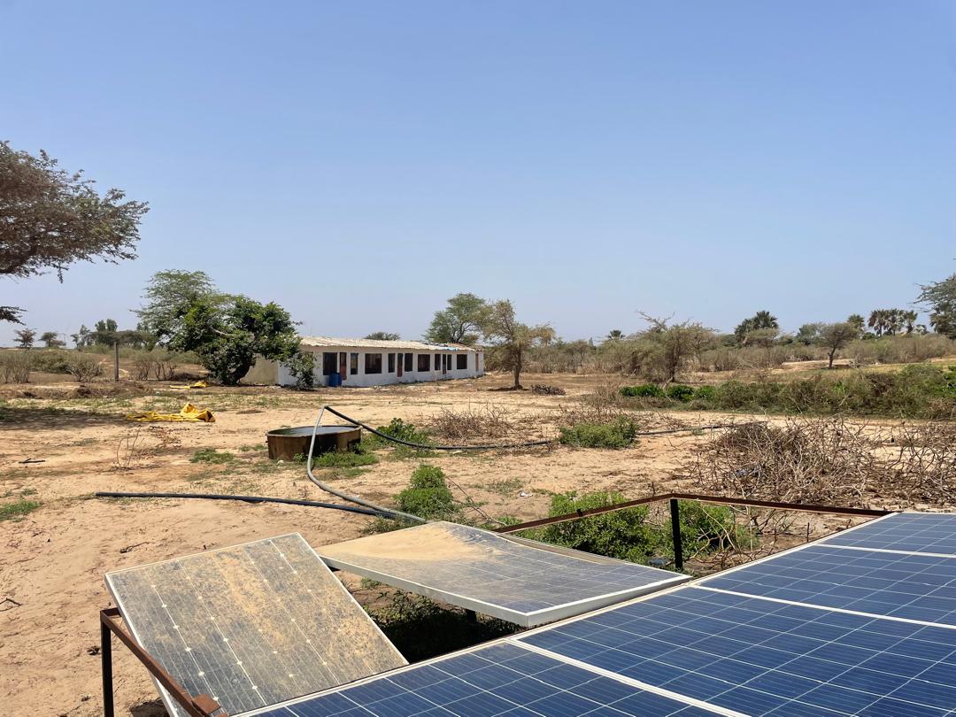 BMNSenegal's tweet image. Cette étape importante du processus de la mise à niveau vise notamment à vérifier l’effectivité de l’activité menée par l’entreprise et à discuter du projet d’investissement que ce dernier compte mettre en place. 
#kebetu  #PME #TekkiFii #senegal #compétitivité #consommerlocal