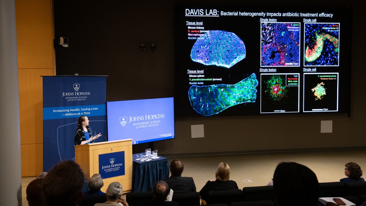 Associate Professor Kim Davis @DavisLabJHU explained how Bacterial heterogeneity impacts antibiotic treatment efficacy
Learn more about the Davis Lab here 
publichealth.jhu.edu/departments/mo…

4/7