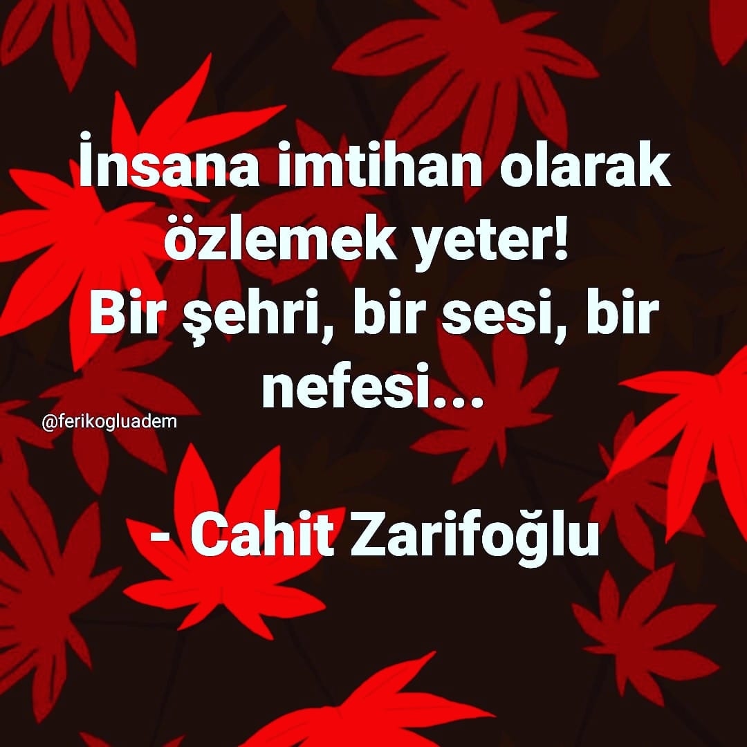 #CahitZarifoğlu