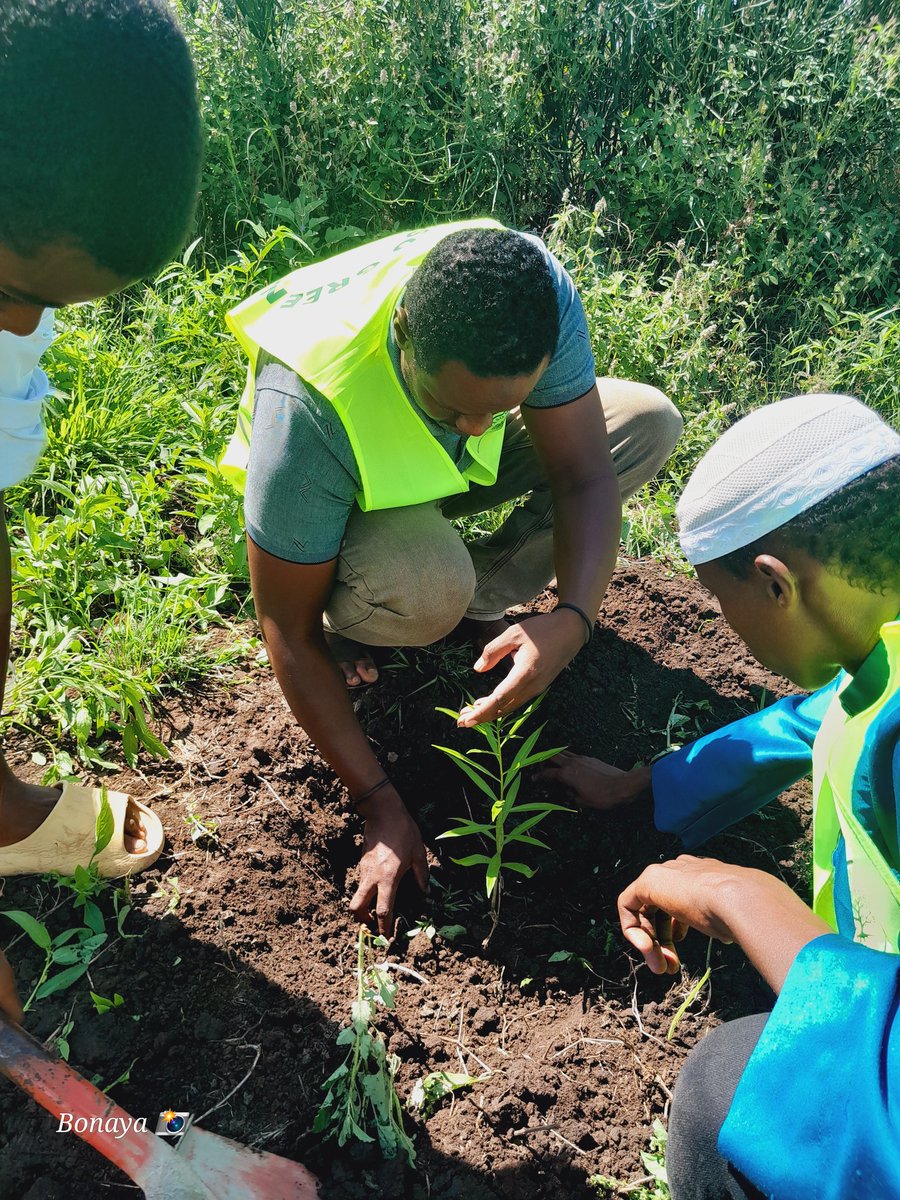1/4 Tree planting is a vital action that helps combat climate change, restore ecosystems, and create a greener and healthier planet. #EarthDay #NationalTreePlantingDay