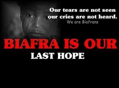 30Th Of May Sit At Home In Focus: Great Biafrans and lovers of freedom. This is to inform you once again on what this month is all about. This is a month of honouring and remembering those that lost their lives so that we may live. Those that were raped, killed, bombarded,…