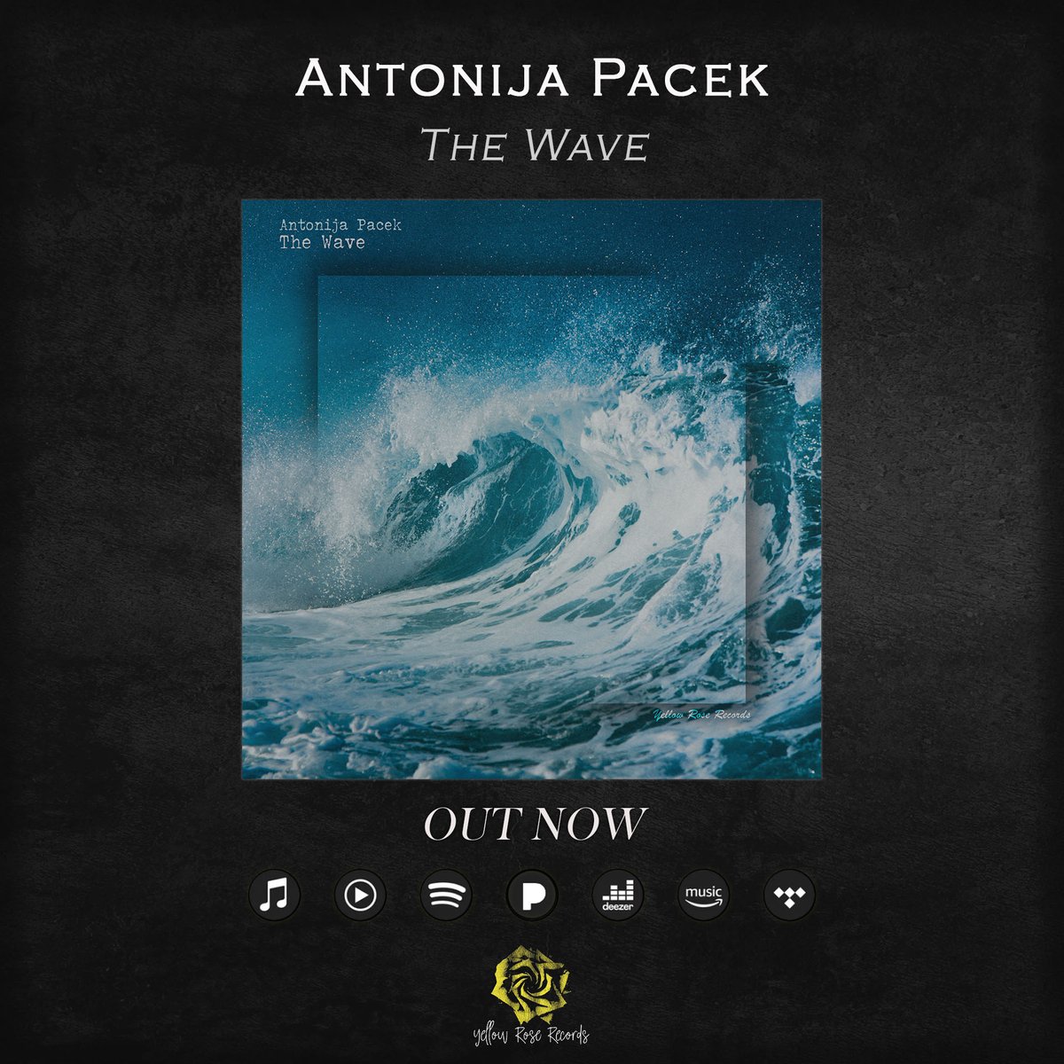 'The Wave' is a Modern Classical single composed and recorded by Antonija Pacek, a native Croatian/Austrian awarded neoclassical composer and pianist. Check it out here: YRR.fanlink.tv/Antonija_Pacek…