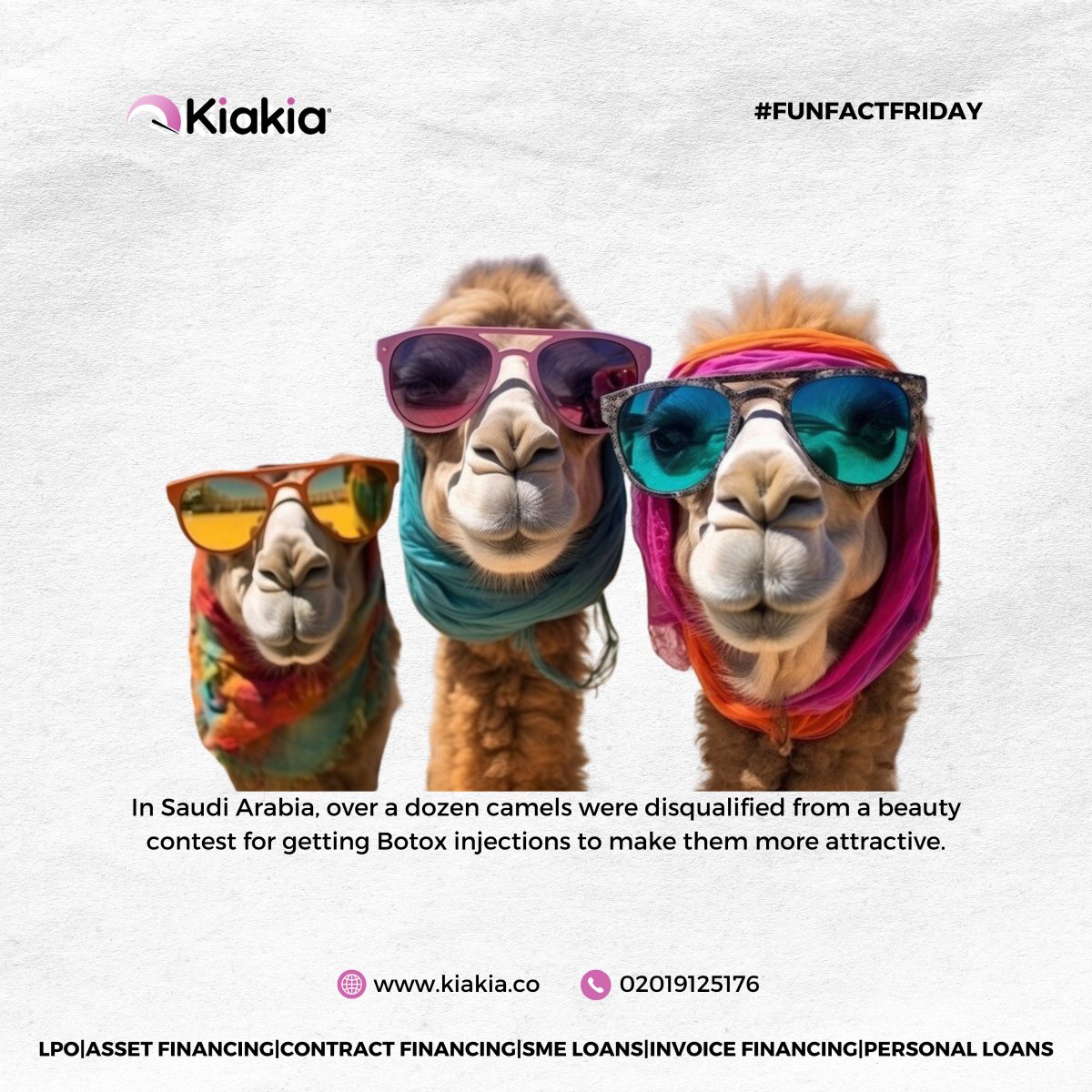 When your camel's beauty regime is more intense than yours. 😂😂😂 

#funfactfriday #kiakiafriday